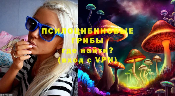 бутират Алзамай