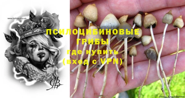 бутират Алзамай