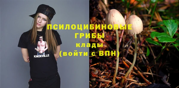 apvp Алексеевка