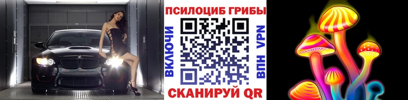 Псилоцибиновые грибы Psilocybe  Купить закладки  Яранск 